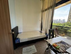 Dover Parkview (D5), Condominium #496436831